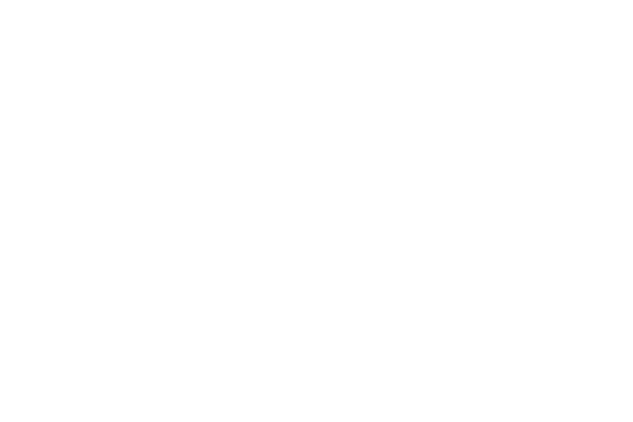 The Endless Honeymooners